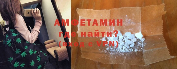 гидра Горняк