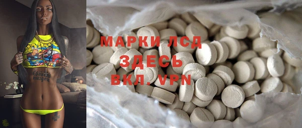 индика Горнозаводск