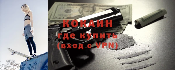 гидра Горняк