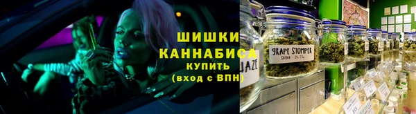 гидра Горняк
