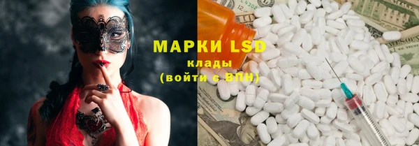 индика Горнозаводск