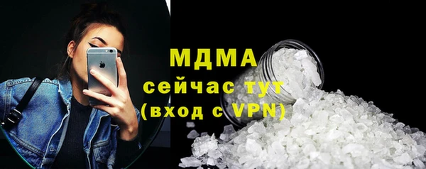 гидра Горняк