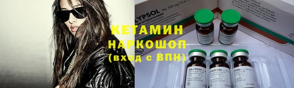 гидра Горняк