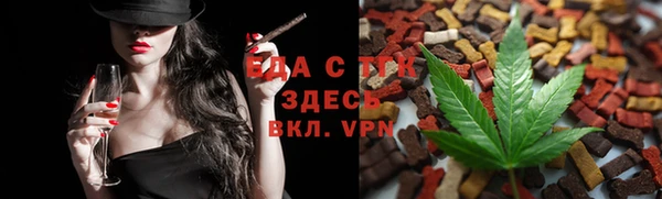 индика Горнозаводск