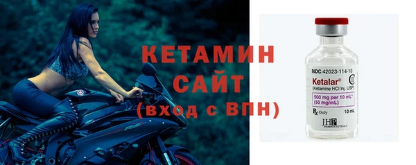 индика Горнозаводск