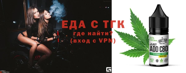 гидра Горняк