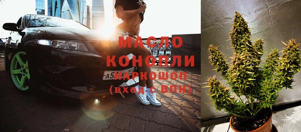 индика Горнозаводск
