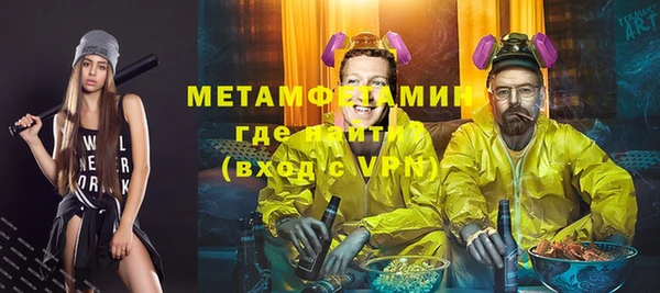 индика Горнозаводск