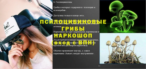 индика Горнозаводск