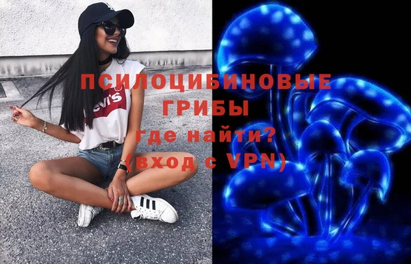индика Горнозаводск