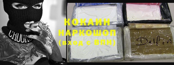 индика Горнозаводск