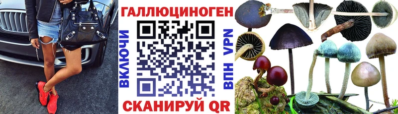 Псилоцибиновые грибы Psilocybine cubensis  Купить  Кировград 