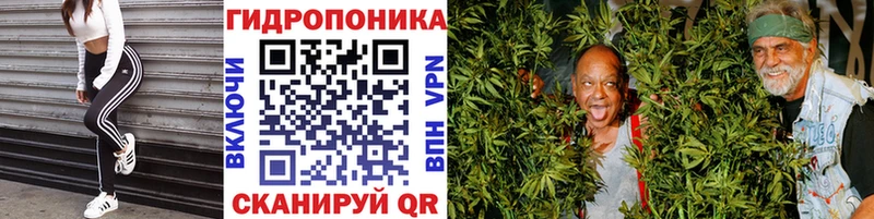 Купить  Кировград  Бошки Шишки OG Kush 